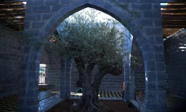 A view of the historic Mausoleum of Imam al-Nawawi in the city of Nawa, featuring a traditional stone structure with a small dome, set against a backdrop of modern residential buildings and green trees.
