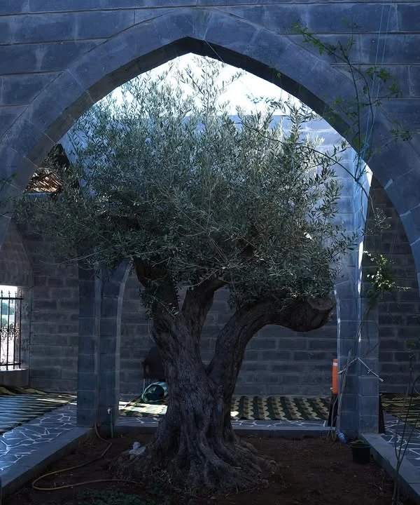 A view of the historic Mausoleum of Imam al-Nawawi in the city of Nawa, featuring a traditional stone structure with a small dome, set against a backdrop of modern residential buildings and green trees.