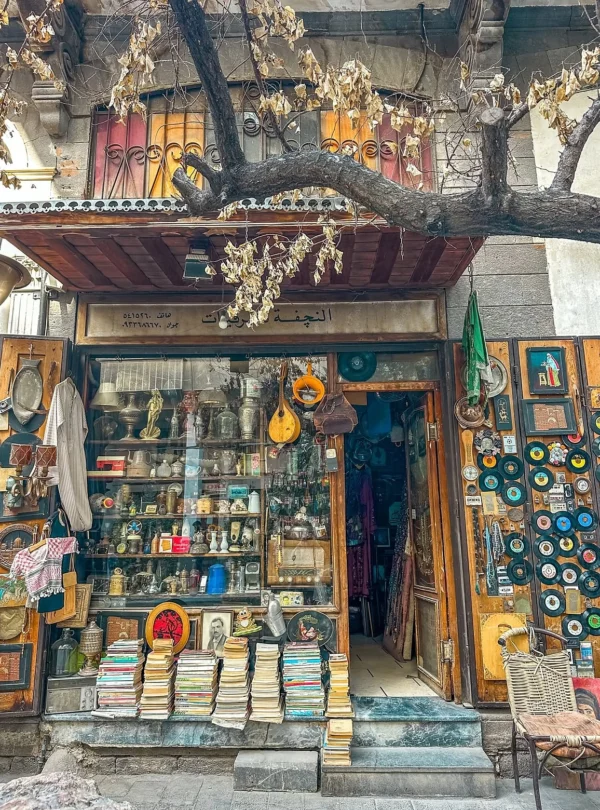 A charming antique shopfront in Old Damascus filled with stacked vintage books, classic vinyl records, hanging lutes, brassware, and traditional Damascene curios beneath an overarching tree branch.
